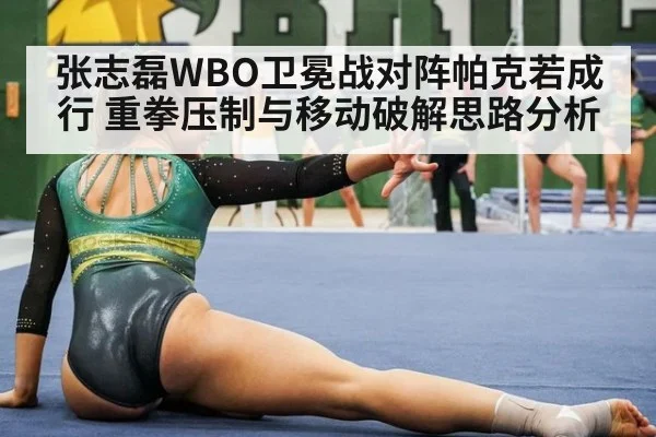 张志磊WBO卫冕战对阵帕克若成行 重拳压制与移动破解思路分析